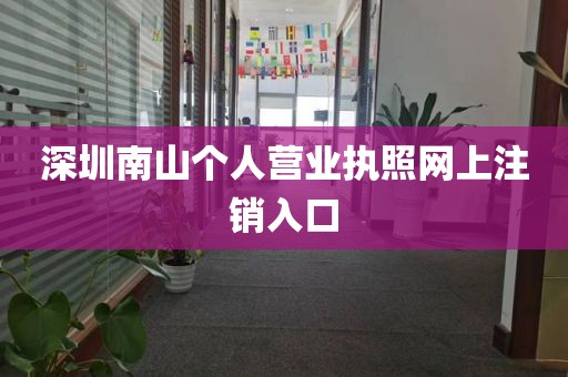 深圳南山个人营业执照网上注销入口