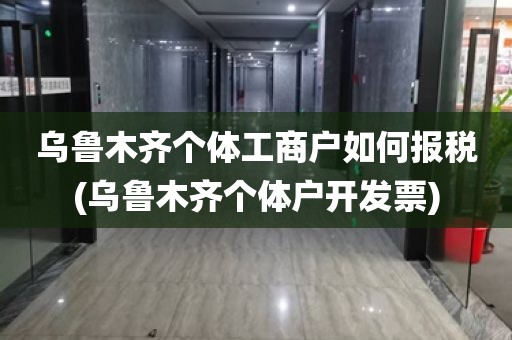 乌鲁木齐个体工商户如何报税(乌鲁木齐个体户开发票)