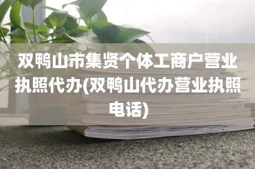 双鸭山市集贤个体工商户营业执照代办(双鸭山代办营业执照电话)