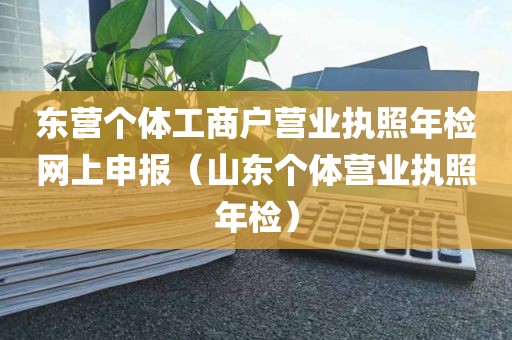 东营个体工商户营业执照年检网上申报(山东个体营业执照年检)