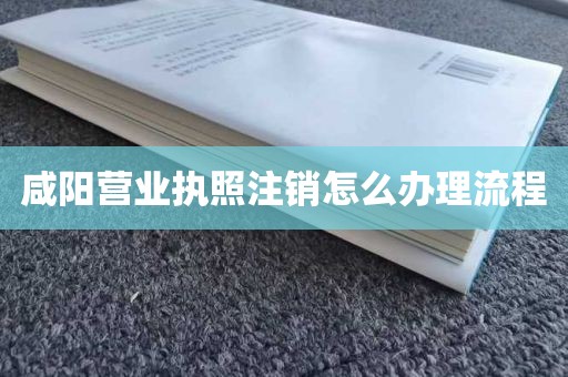 咸阳营业执照注销怎么办理流程