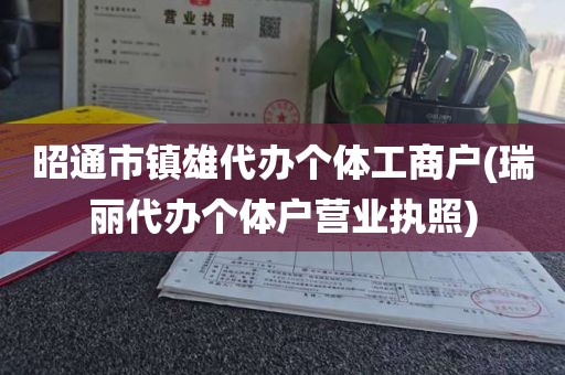 昭通市镇雄代办个体工商户(瑞丽代办个体户营业执照)