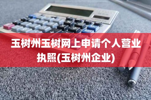 玉树州玉树网上申请个人营业执照(玉树州企业)