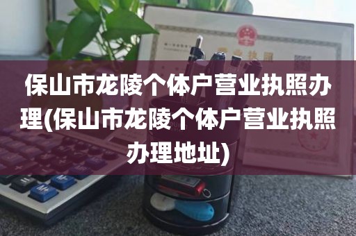 保山市龙陵个体户营业执照办理(保山市龙陵个体户营业执照办理地址)