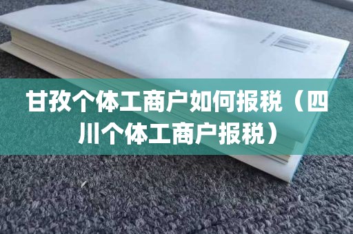 甘孜个体工商户如何报税（四川个体工商户报税）