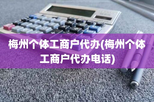 梅州个体工商户代办(梅州个体工商户代办电话)