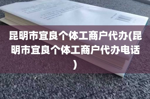 昆明市宜良个体工商户代办(昆明市宜良个体工商户代办电话)