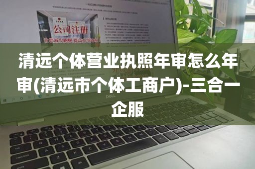 清远个体营业执照年审怎么年审(清远市个体工商户)-三合一企服