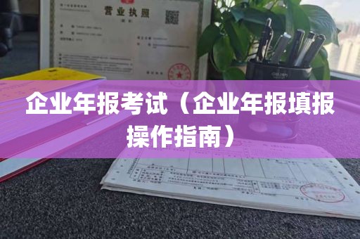 企业年报考试（企业年报填报操作指南）