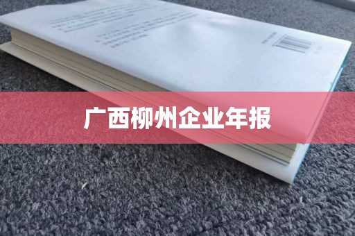 广西柳州企业年报