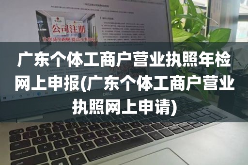 广东个体工商户营业执照年检网上申报(广东个体工商户营业执照网上申请)