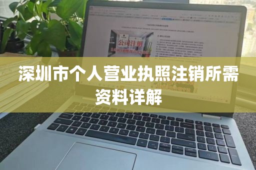 深圳市个人营业执照注销所需资料详解