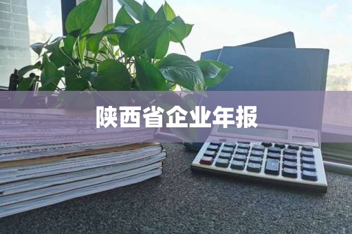 陕西省企业年报