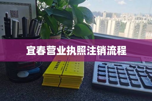 宜春营业执照注销流程