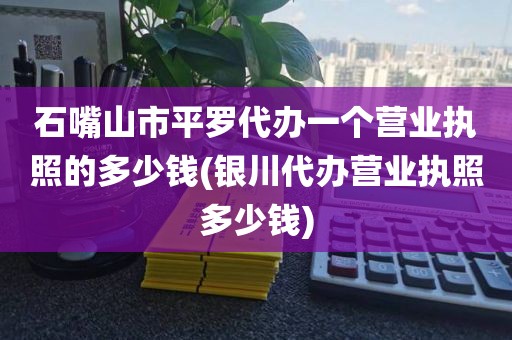 石嘴山市平罗代办一个营业执照的多少钱(银川代办营业执照多少钱)