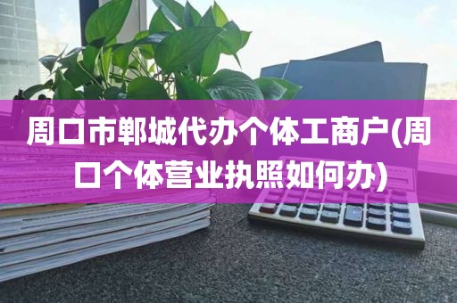 周口市郸城代办个体工商户(周口个体营业执照如何办)