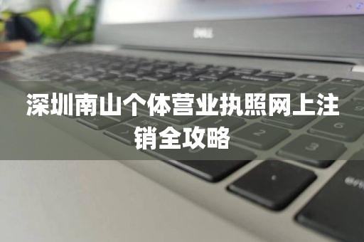 深圳南山个体营业执照网上注销全攻略