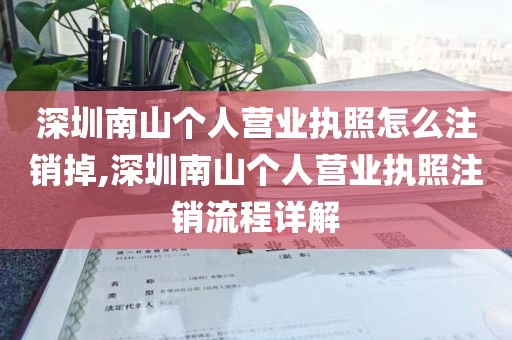 深圳南山个人营业执照怎么注销掉,深圳南山个人营业执照注销流程详解