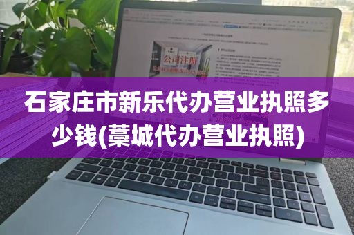 石家庄市新乐代办营业执照多少钱(藁城代办营业执照)