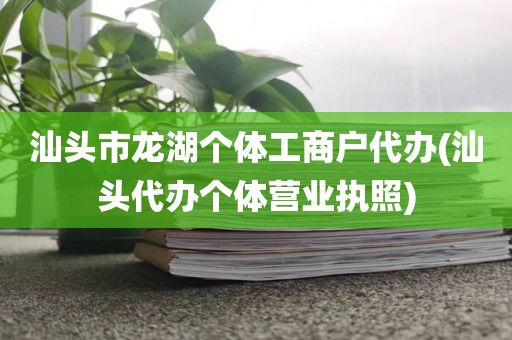 汕头市龙湖个体工商户代办(汕头代办个体营业执照)