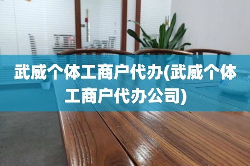 武威个体工商户代办(武威个体工商户代办公司)