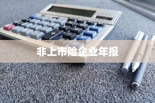 非上市险企业年报