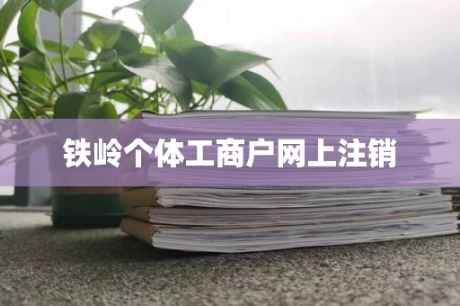 铁岭个体工商户网上注销