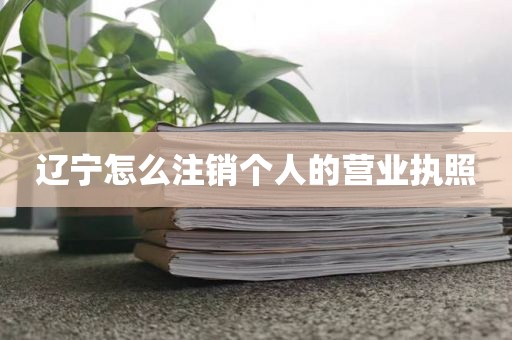 辽宁怎么注销个人的营业执照