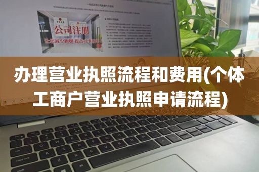 办理营业执照流程和费用(个体工商户营业执照申请流程)