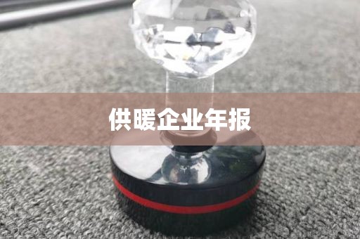 供暖企业年报