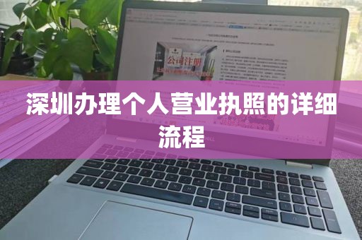 深圳办理个人营业执照的详细流程