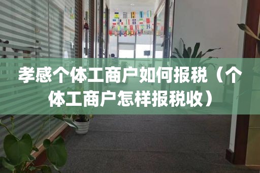 孝感个体工商户如何报税(个体工商户怎样报税收)