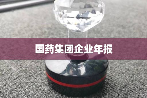国药集团企业年报