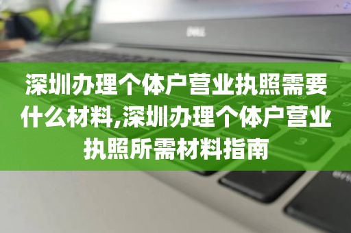 深圳办理个体户营业执照需要什么材料,深圳办理个体户营业执照所需材料指南