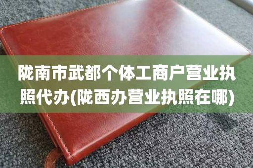 陇南市武都个体工商户营业执照代办(陇西办营业执照在哪)