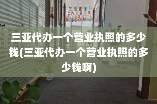 三亚代办一个营业执照的多少钱(三亚代办一个营业执照的多少钱啊)