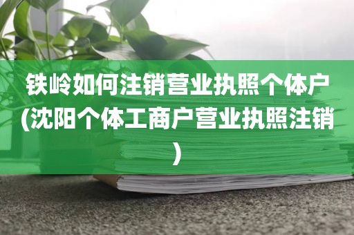铁岭如何注销营业执照个体户(沈阳个体工商户营业执照注销)