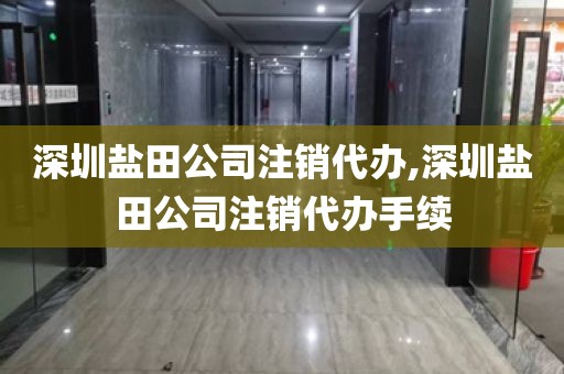 深圳盐田公司注销代办,深圳盐田公司注销代办手续