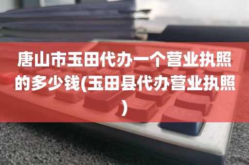 唐山市玉田代办一个营业执照的多少钱(玉田县代办营业执照)