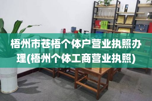 梧州市苍梧个体户营业执照办理(梧州个体工商营业执照)