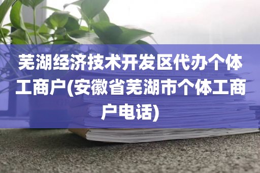 芜湖经济技术开发区代办个体工商户(安徽省芜湖市个体工商户电话)