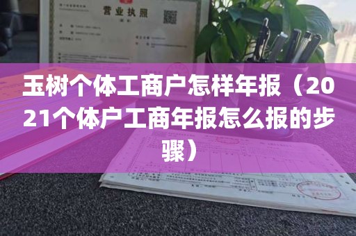 玉树个体工商户怎样年报（2021个体户工商年报怎么报的步骤）