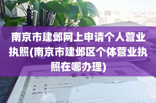南京市建邺网上申请个人营业执照(南京市建邺区个体营业执照在哪办理)