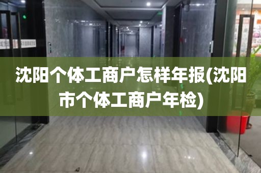 沈阳个体工商户怎样年报(沈阳市个体工商户年检)