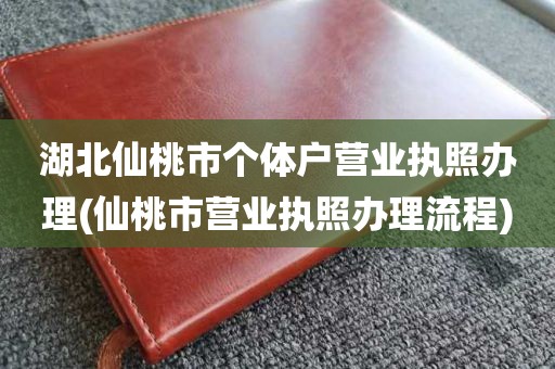 湖北仙桃市个体户营业执照办理(仙桃市营业执照办理流程)