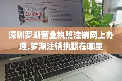 深圳罗湖营业执照注销网上办理,罗湖注销执照在哪里