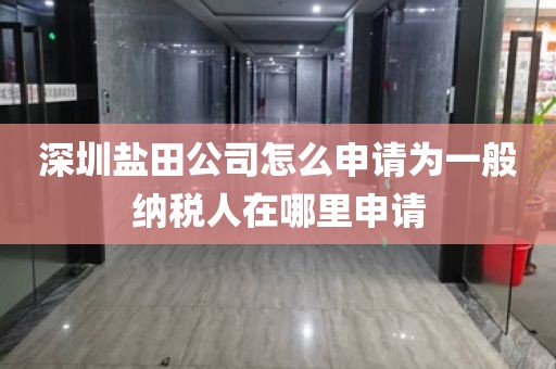 深圳盐田公司怎么申请为一般纳税人在哪里申请