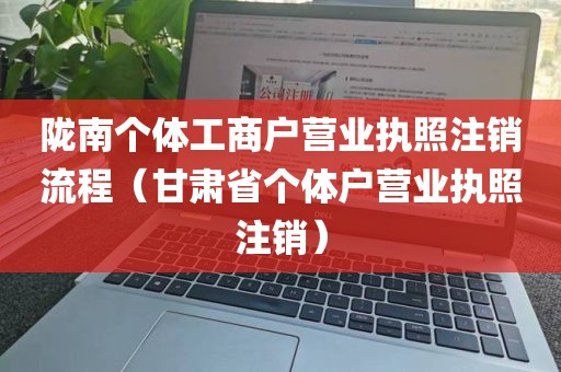 陇南个体工商户营业执照注销流程（甘肃省个体户营业执照注销）