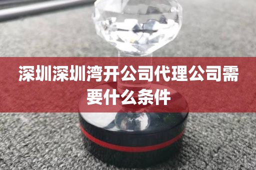 深圳深圳湾开公司代理公司需要什么条件
