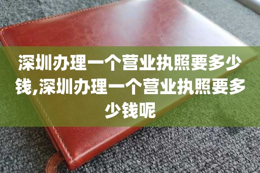 深圳办理一个营业执照要多少钱,深圳办理一个营业执照要多少钱呢